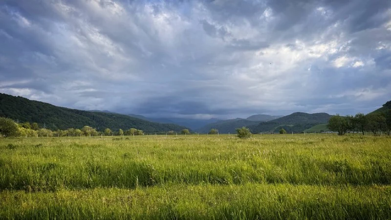 Зелёный луг и горные склоны под облачным небом